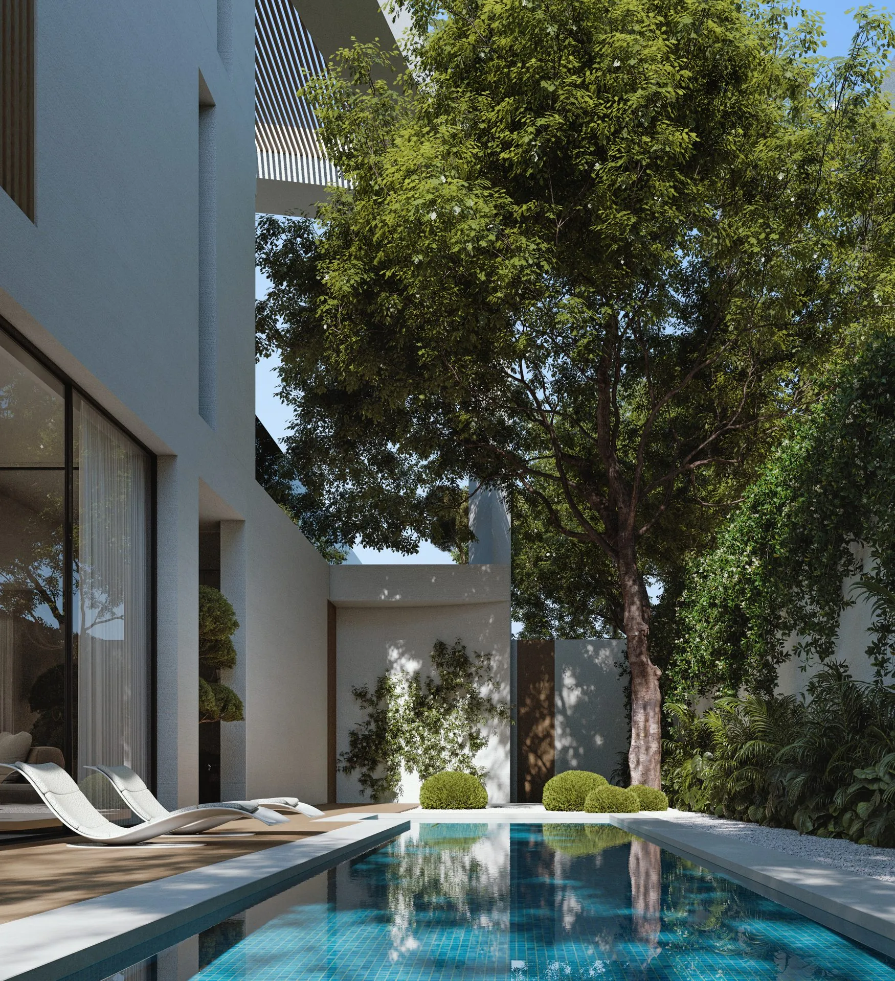 Piscine privée avec arbre